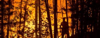 Global Warming Cited as Wildfires Increase in Fragile Boreal Forest