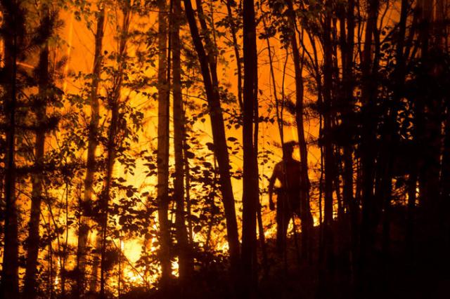 Global Warming Cited as Wildfires Increase in Fragile Boreal Forest