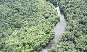 Peru declara estado de emergência por contaminação por mercúrio na Amazônia