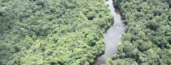 Peru declara estado de emergência por contaminação por mercúrio na Amazônia