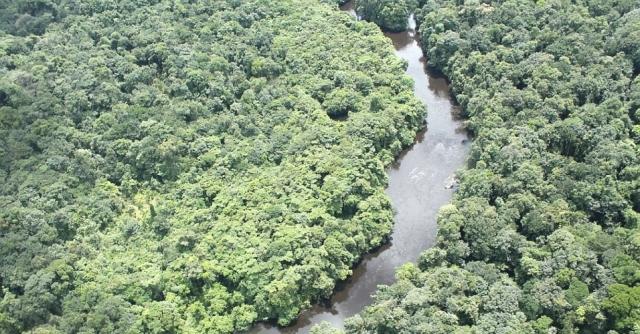 Peru declara estado de emergência por contaminação por mercúrio na Amazônia