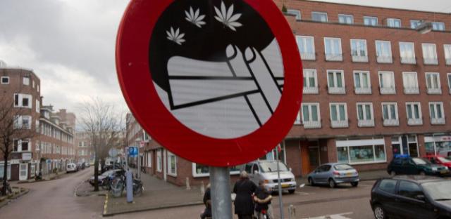 Saiba porque Holanda diz que: Legalizar maconha foi erro