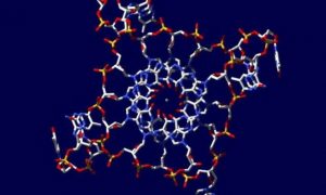 O Homem tentando ser DEUS Cientistas propõem projeto para criar genoma humano sintético