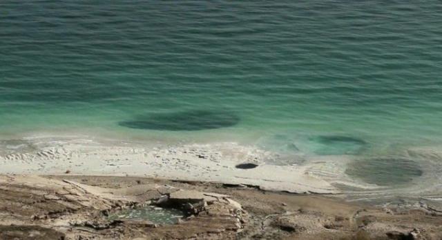 Peixes aparecem no mar morto como cumprimento de profecia bíblica