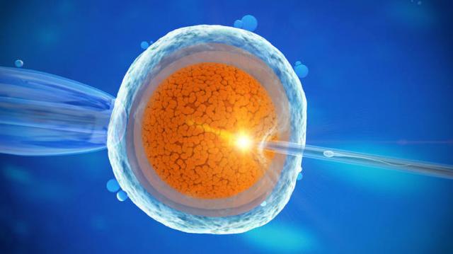 Cientistas podem ter descoberto como gerar bebês sem mães