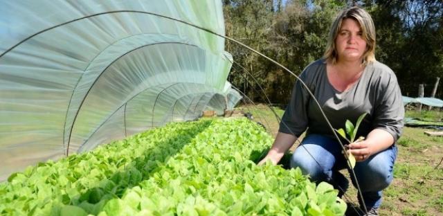 ‘Bomba-relógio’ de suicídios: Como uma mescla de agrotóxicos, depressão e dívidas abala grupo de agr