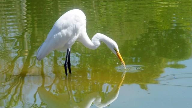 Reserva Biológica do Parque Equitativa guarda uma das poucas áreas de Mata Atlântica