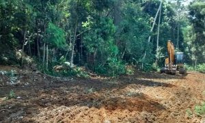 Desmatamento na beira de reserva biológica revolta moradores da Baixada Fluminense