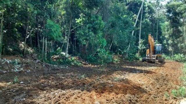Desmatamento na beira de reserva biológica revolta moradores da Baixada Fluminense