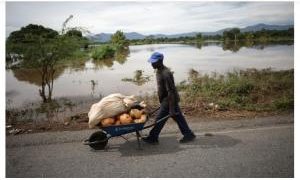 Enchentes prejudicam agricultores do Haiti após passagem do Irma