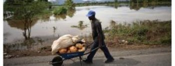 Enchentes prejudicam agricultores do Haiti após passagem do Irma