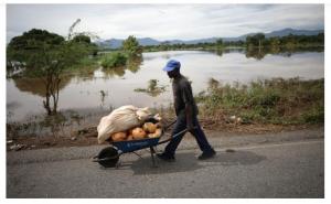 Enchentes prejudicam agricultores do Haiti após passagem do Irma