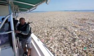 O gigantesco mar de lixo no Caribe com plástico, animais mortos e até corpos