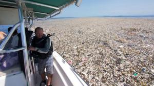 O gigantesco mar de lixo no Caribe com plástico, animais mortos e até corpos
