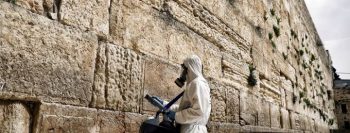 Israel testa protótipo de vacina para coronavírus em roedores