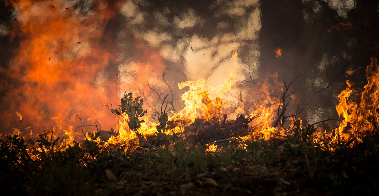 Diversos incêndios em Israel por causa de onda de calor