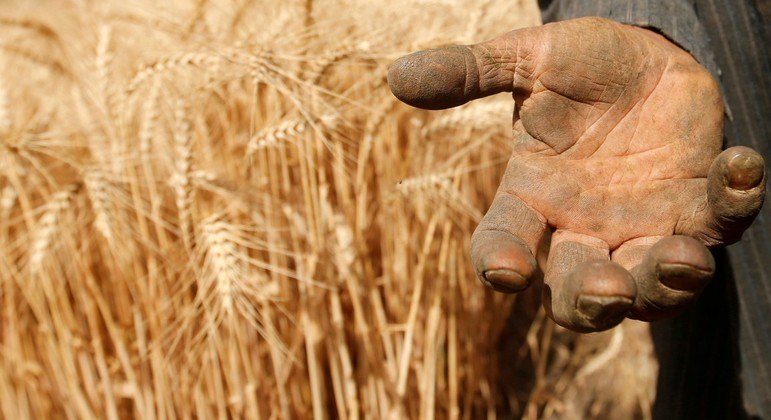 Preços dos alimentos no mundo são os mais caros em 10 anos