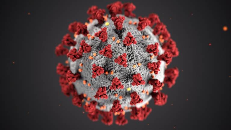 Covid-19: o que se sabe até agora da variante Ômicron Cientistas correm para decifrar genoma de vírus com 50 mutações