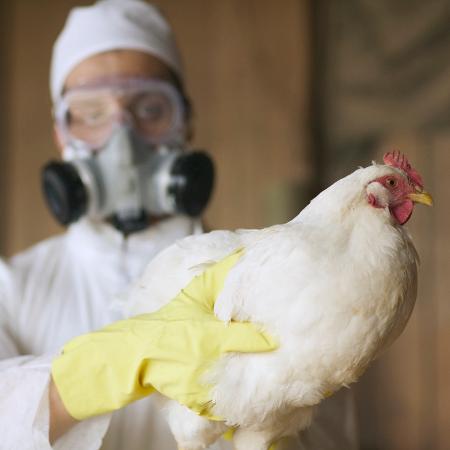 China registra Gripe Aviária em humano