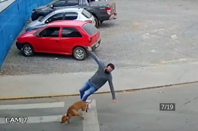 Incomum: Homem é atropelado por cachorro e fica se contorcendo no chão; VEJA VÍDEO