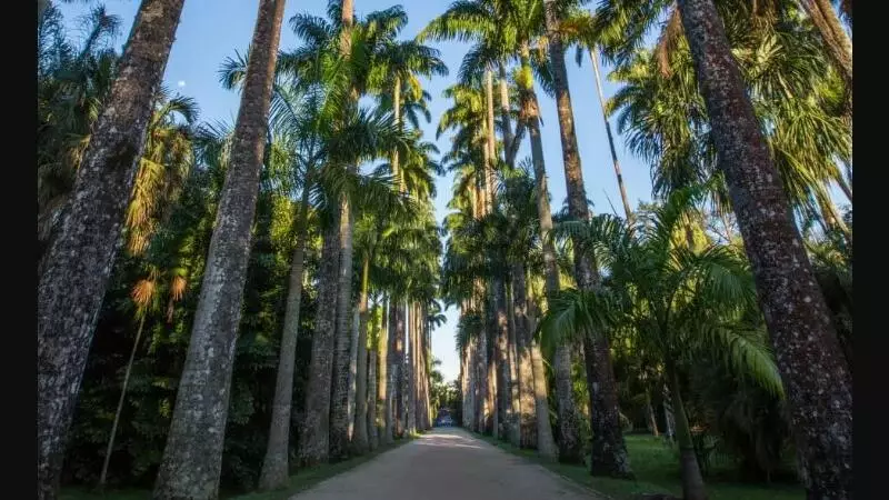 Jardim Botânico prepara atrações para comemorar aniversário de 214 anos