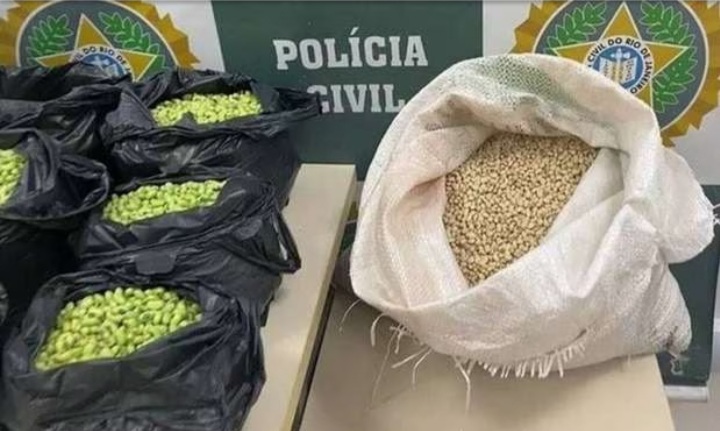 Homem é preso no Rio por pintar feijão de verde para aplicar golpes