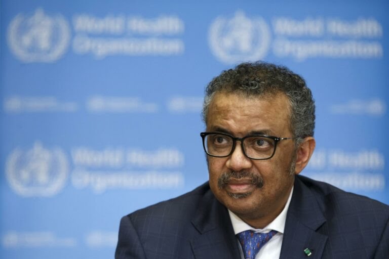 H5N1: “Devemos nos preparar para nova pandemia”, diz OMS